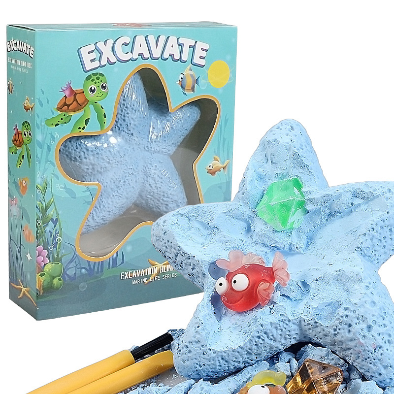 نجم البحر الحياة البحرية الأحج - مراجعة Science Kit وسعره