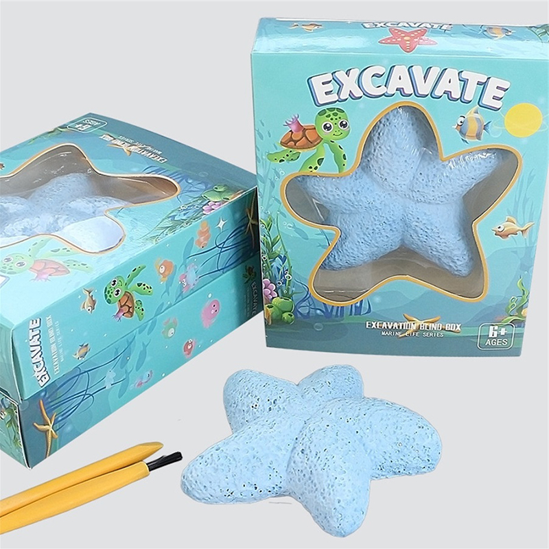 نجم البحر الحياة البحرية الأحج - مراجعة Science Kit وسعره