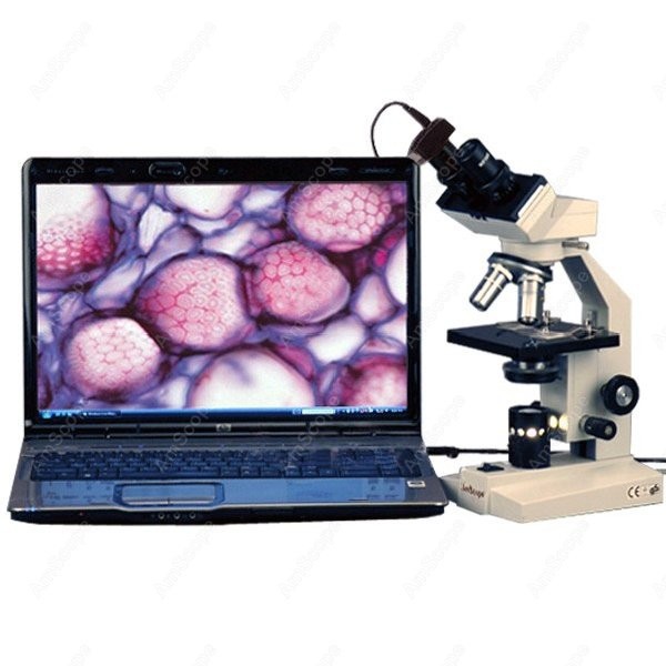 مجهر بيولوجي مركب ثنائي العيني - مراجعة Amscope Microscope Compound 40X-1000X وسعره